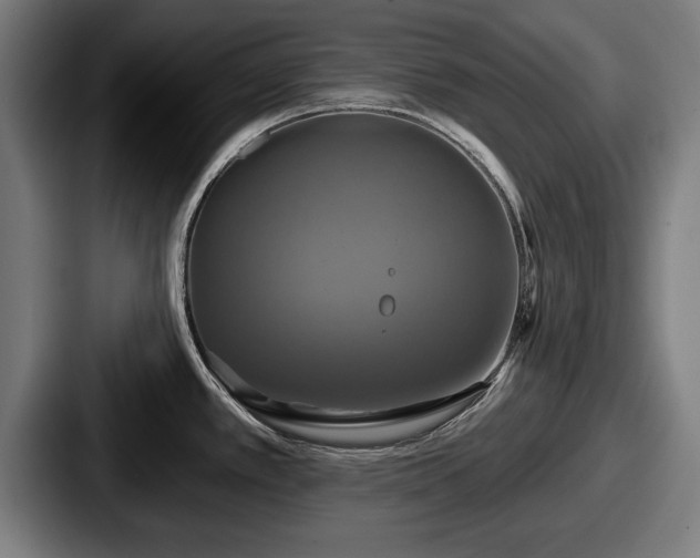 X0000087701389200705111355