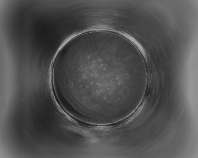 X0000087701390200705111355