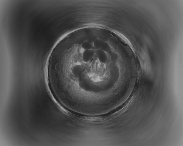 X0000087701391200705111355