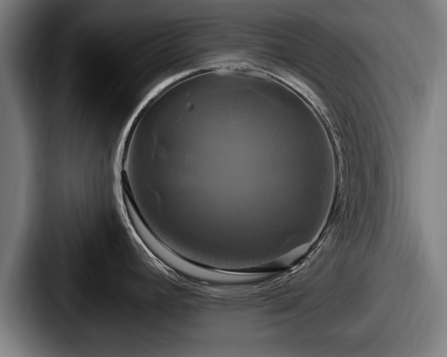 X0000087701392200705111355
