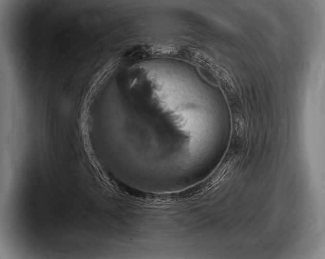 X0000087701393200705111354