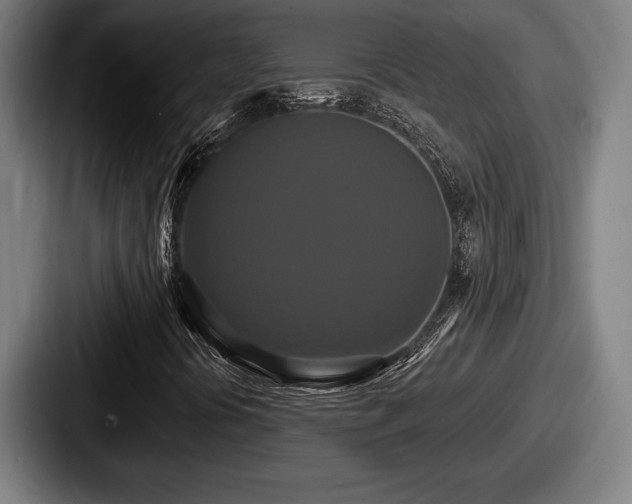 X0000087701394200705111354