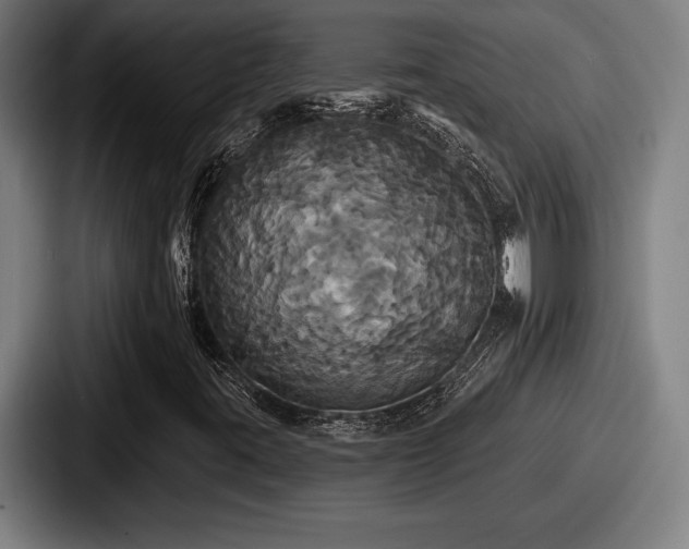 X0000087701395200705111354