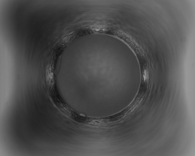 X0000087701396200705111354