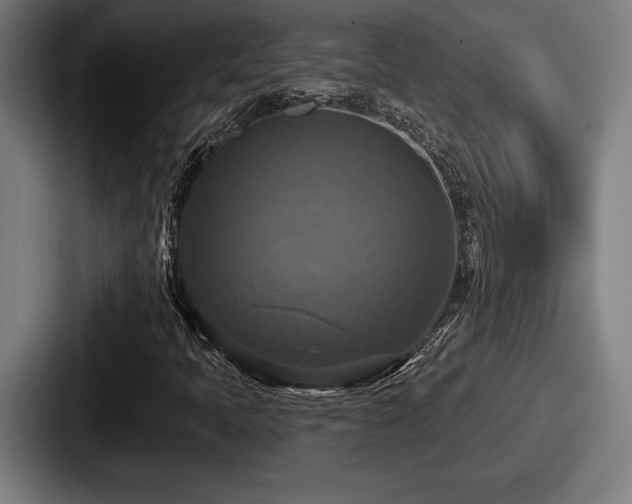 X0000087701397200705111354