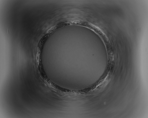 X0000087701399200705111354