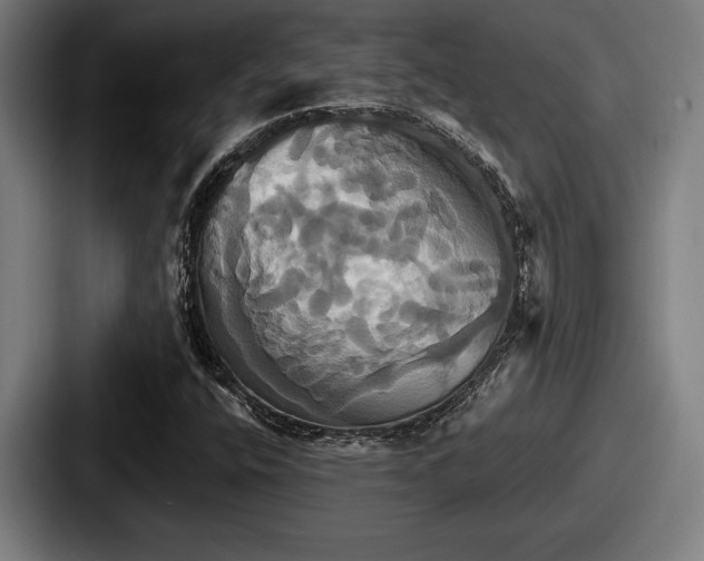 X0000087701400200705111354