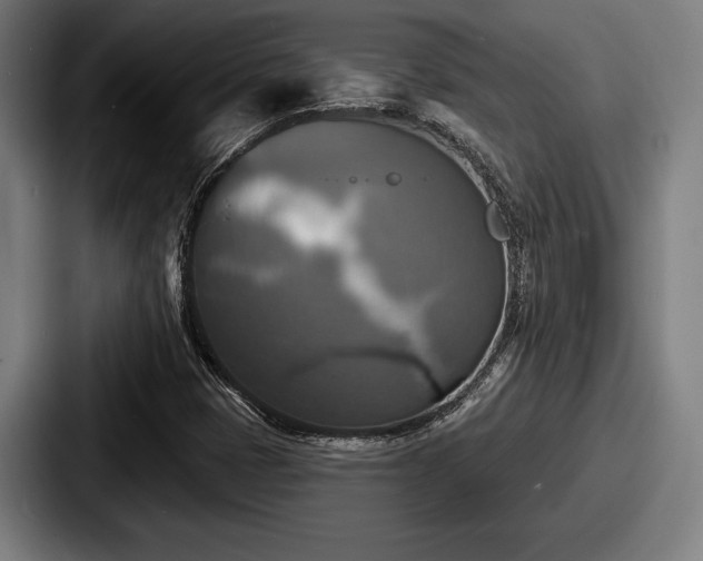 X0000087701401200705111354