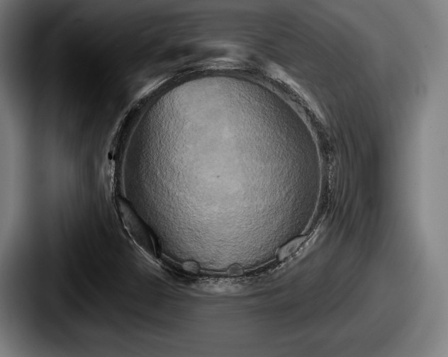 X0000087701402200705111354