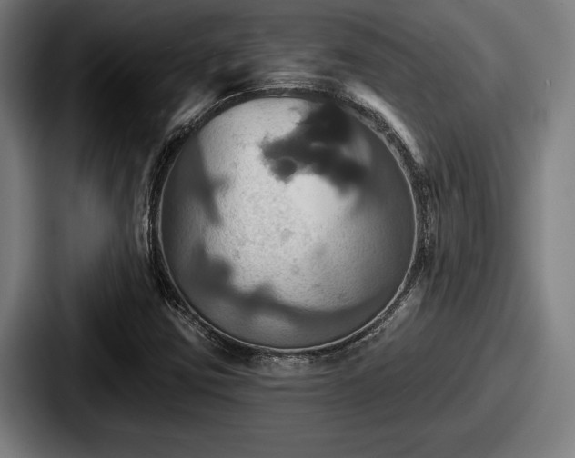 X0000087701403200705111354
