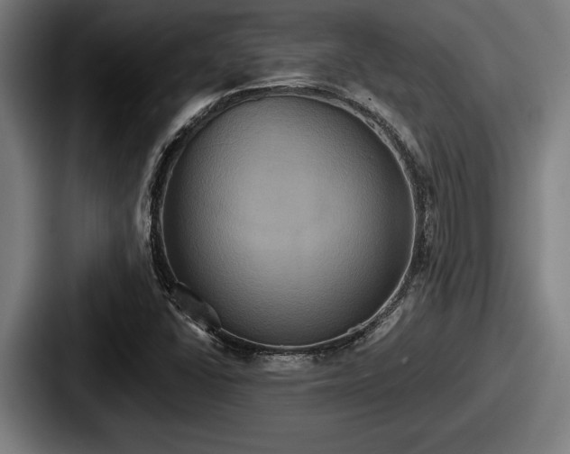 X0000087701406200705111355