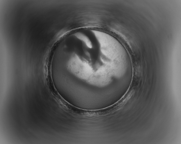 X0000087701407200705111355