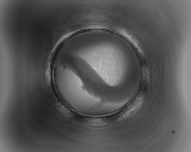 X0000087701408200705111355