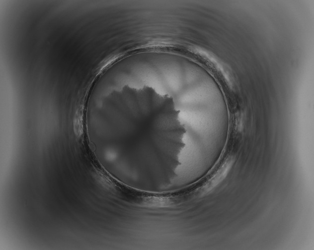 X0000087701409200705111355