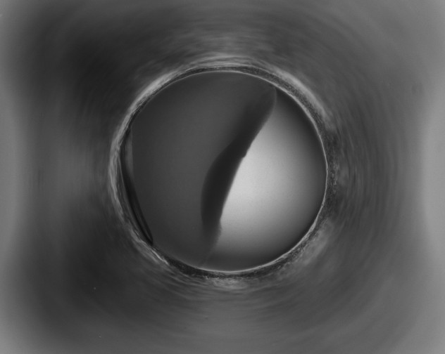 X0000087701413200705111355