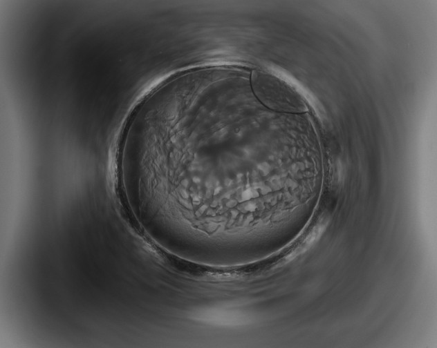 X0000087701415200705111355