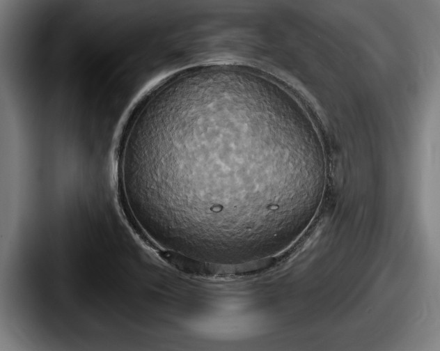 X0000087701416200705111355