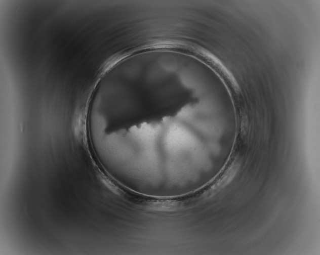 X0000087701417200705111355