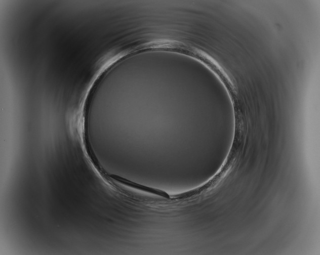 X0000087701418200705111355