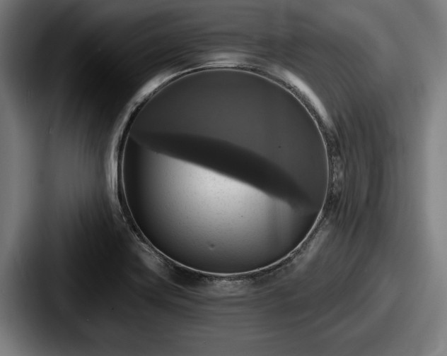 X0000087701419200705111355