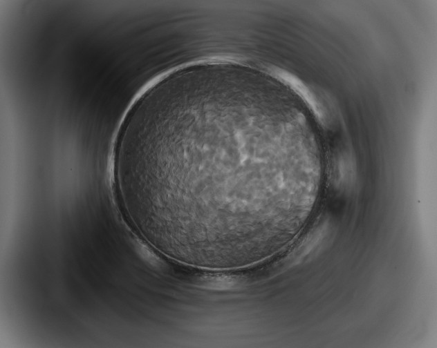 X0000087701420200705111355