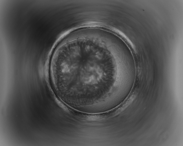 X0000087701421200705111355