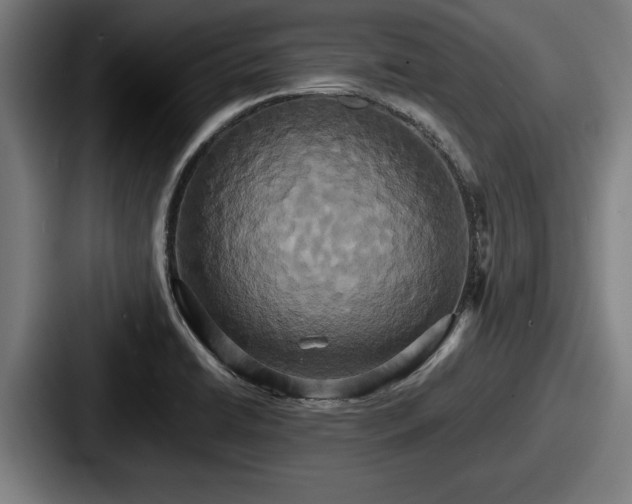 X0000087701422200705111355