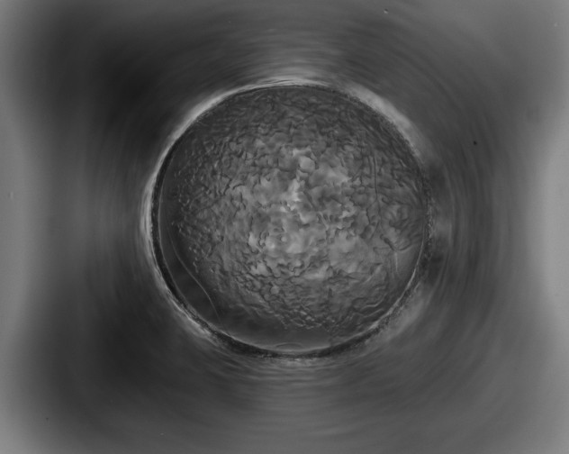 X0000087701423200705111355
