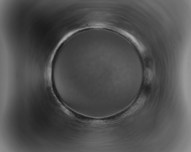 X0000087701424200705111355