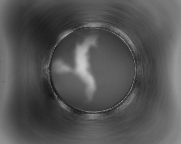 X0000087701425200705111355