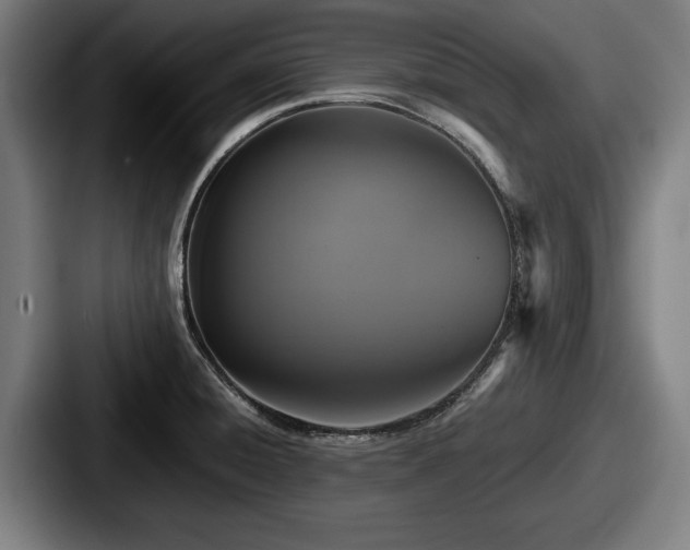 X0000087701428200705111355
