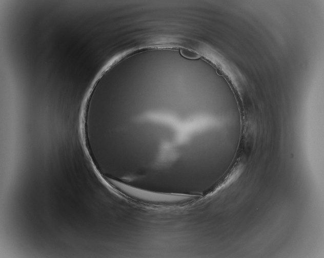 X0000087701429200705111355