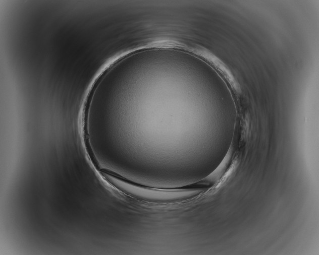 X0000087701430200705111355