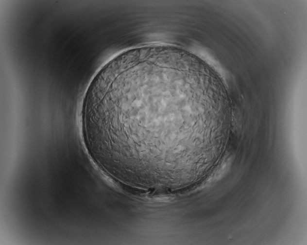 X0000087701431200705111355