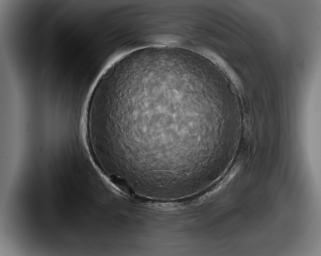 X0000087701432200705111355