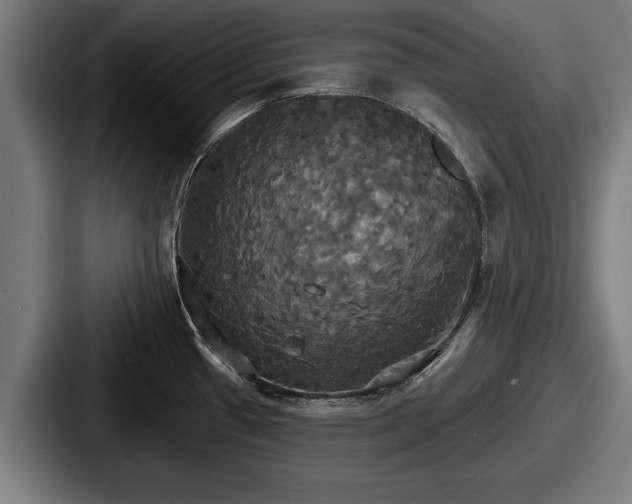 X0000087701433200705111355