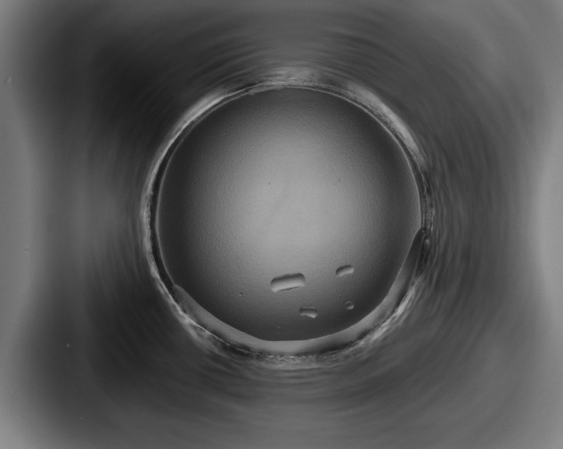 X0000087701434200705111355
