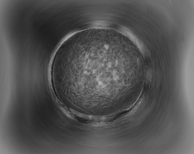 X0000087701435200705111355