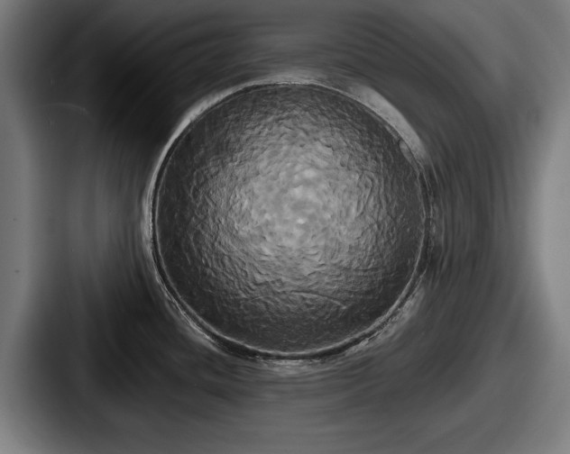 X0000087701436200705111355