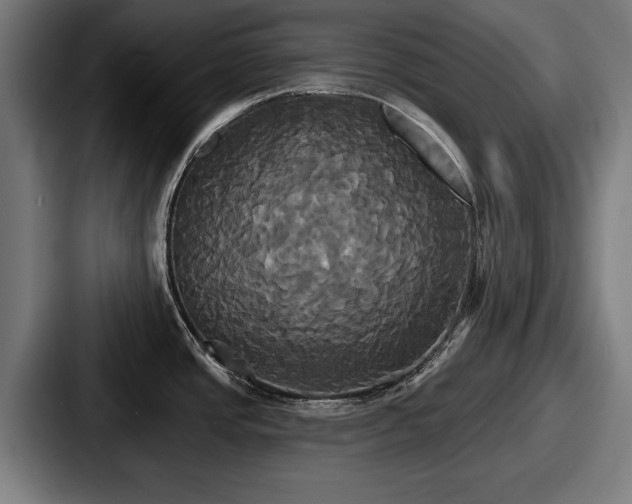 X0000087701437200705111355