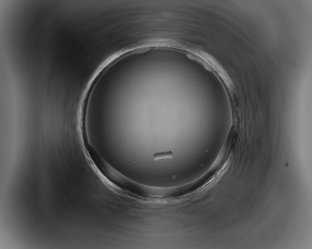 X0000087701438200705111355