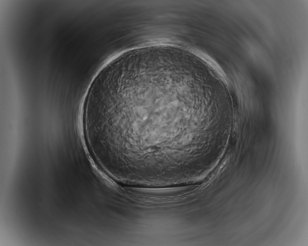 X0000087701439200705111355