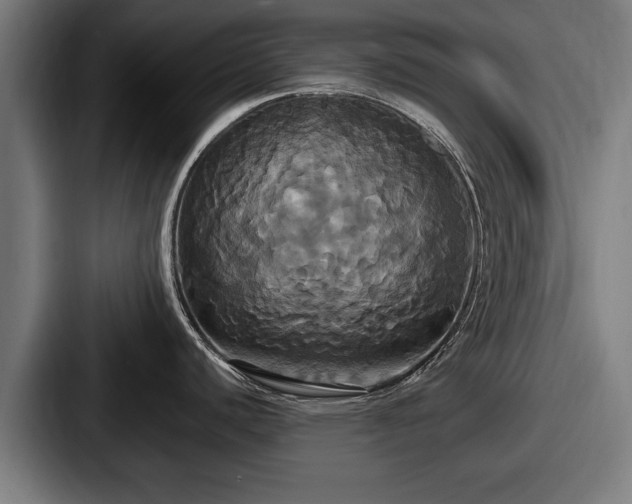 X0000087701440200705111355