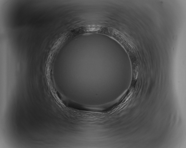 X0000087701441200705111354
