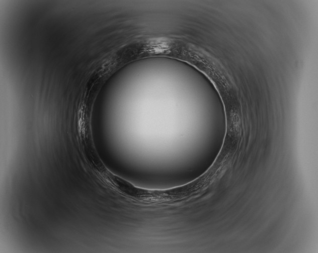 X0000087701442200705111354