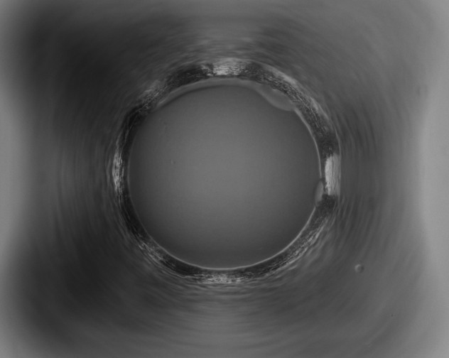 X0000087701443200705111354