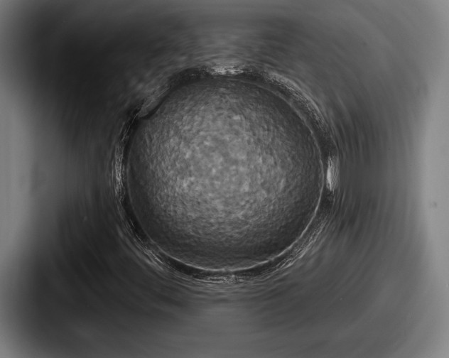 X0000087701444200705111354