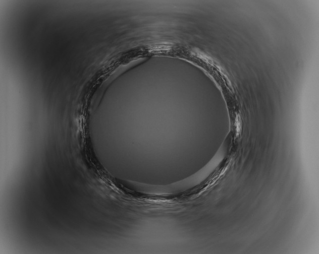 X0000087701445200705111354