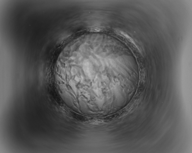 X0000087701446200705111354