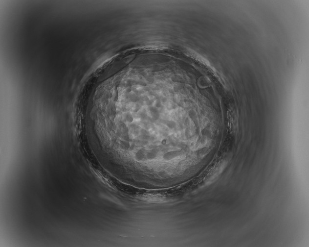 X0000087701448200705111354